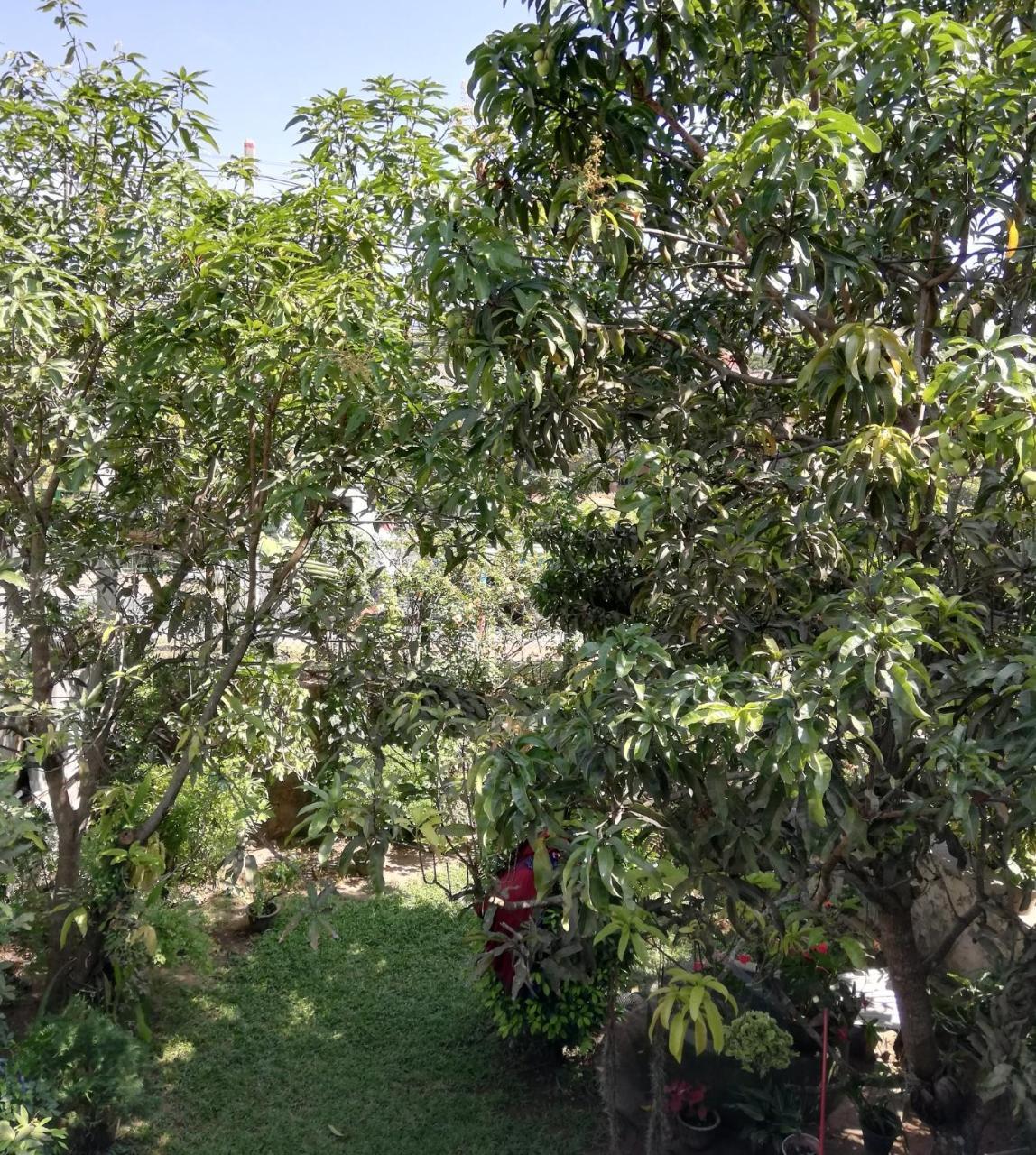 Nisadi Villa Bentota Exterior foto